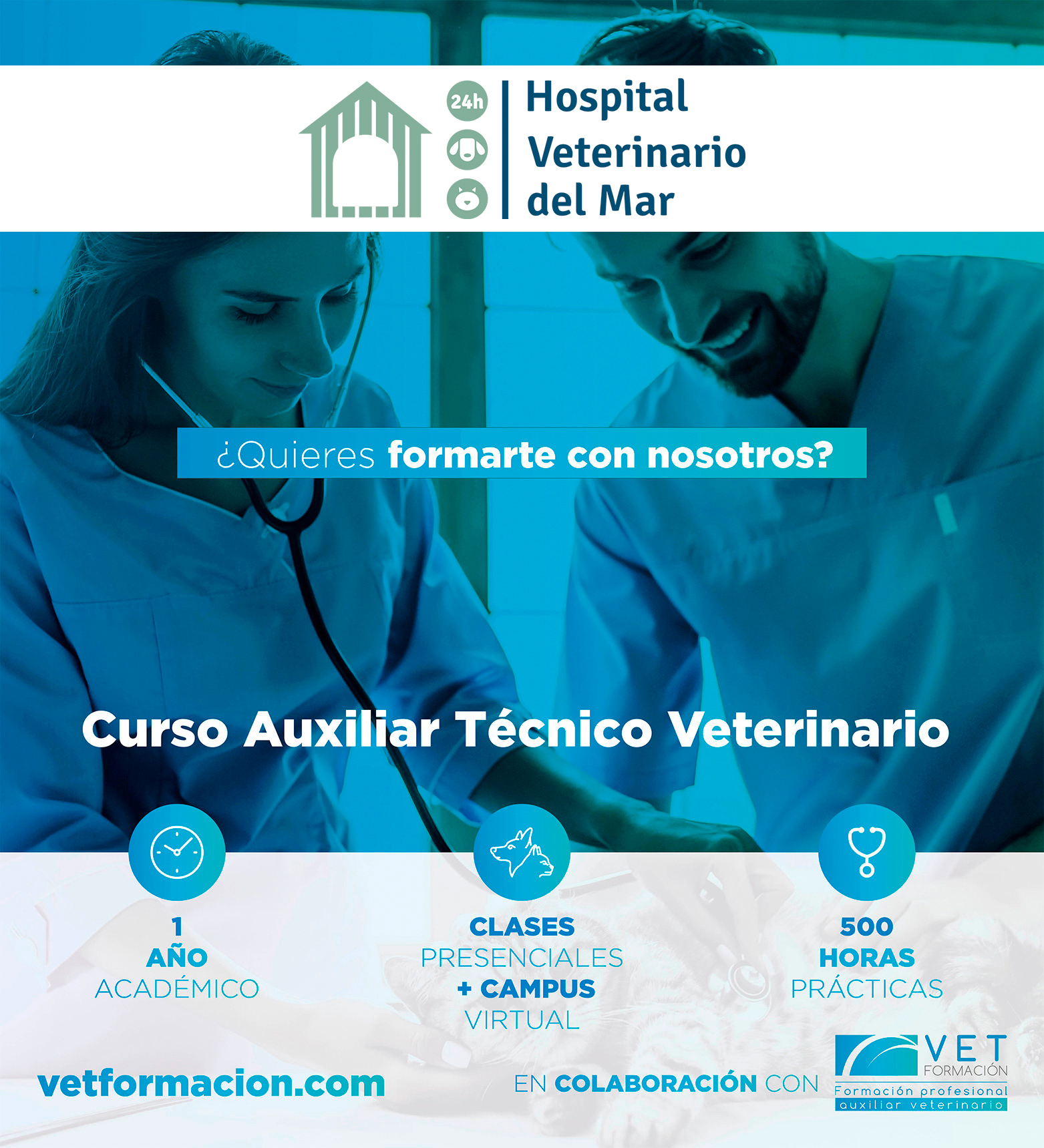 Hospital Veterinario castellon