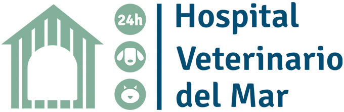 Hospital Veterinario Castellon