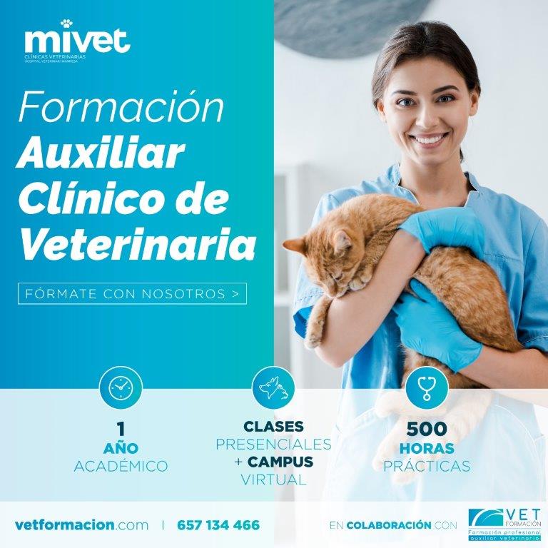 Hospital Veterinario VETS MANRESA