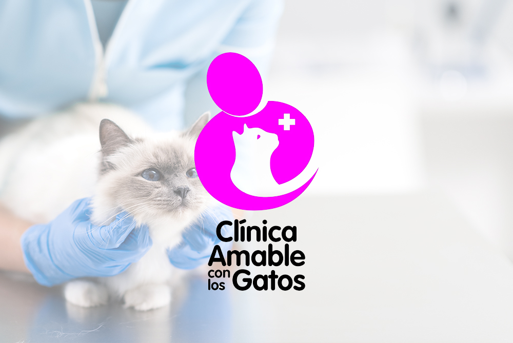 ¿Qué significa que una clínica veterinaria sea amable con los gatos? ¡Te lo contamos!
