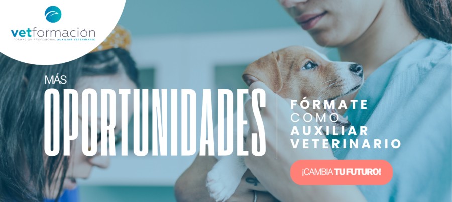 formate como auxiliar veterinario