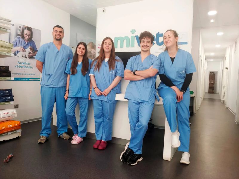 auxiliar veterinario finalizar practicas