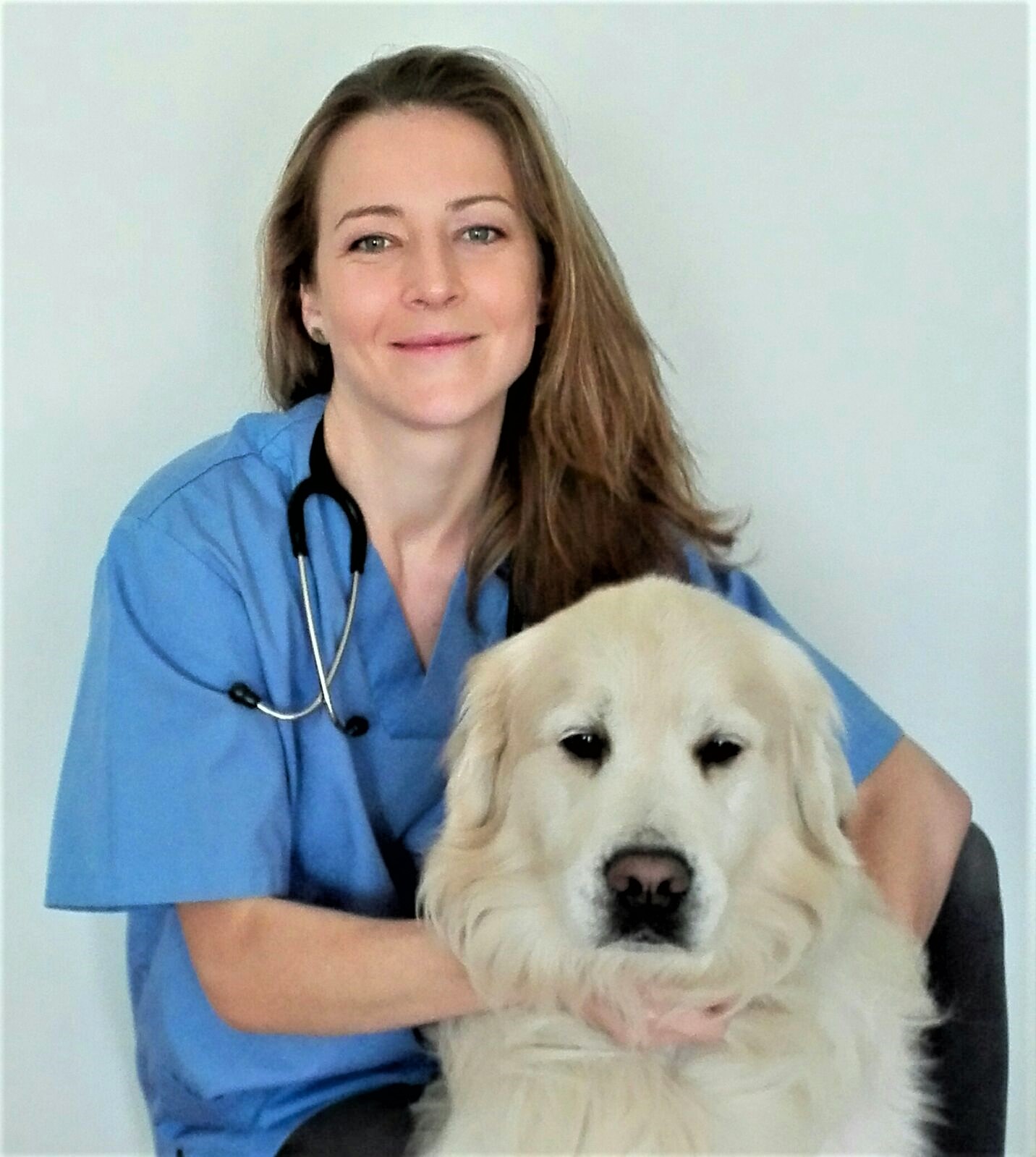 Curso Presencial de Auxiliar Técnico Veterinario en Barcelona ...