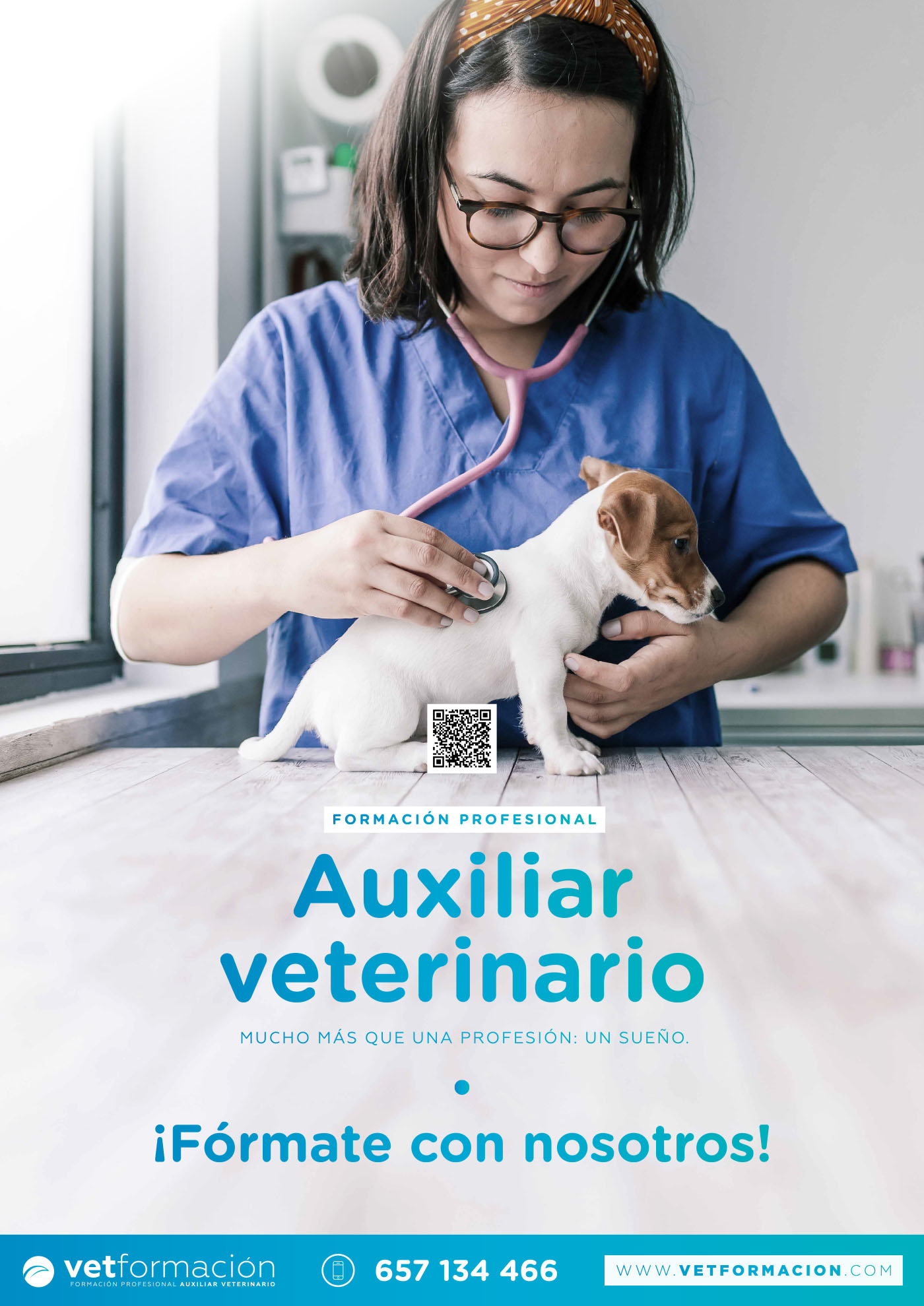 Curso Presencial de Auxiliar Técnico Veterinario en Gijón - Formación ...