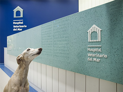 Hospital Veterinario del Mar IVC Evidensia - Castellón - Curso Auxiliar Veterinaria - Vetformacion