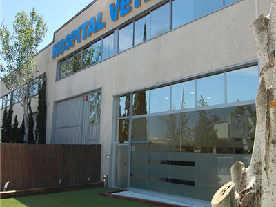 Vet24 Hospital Veterinari - Gavà - Curso Auxiliar Veterinaria - Vetformacion