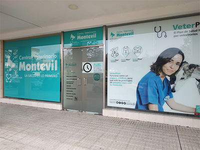 MiVet Clínica Veterinaria Montevil - Gijón - Curso Auxiliar Veterinaria - Vetformacion