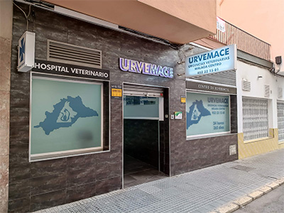 Hospital Veterinario URVEMACE Urgencias Veterinarias IVC Evidensia - Málaga - Curso Auxiliar Veterinaria - Vetformacion