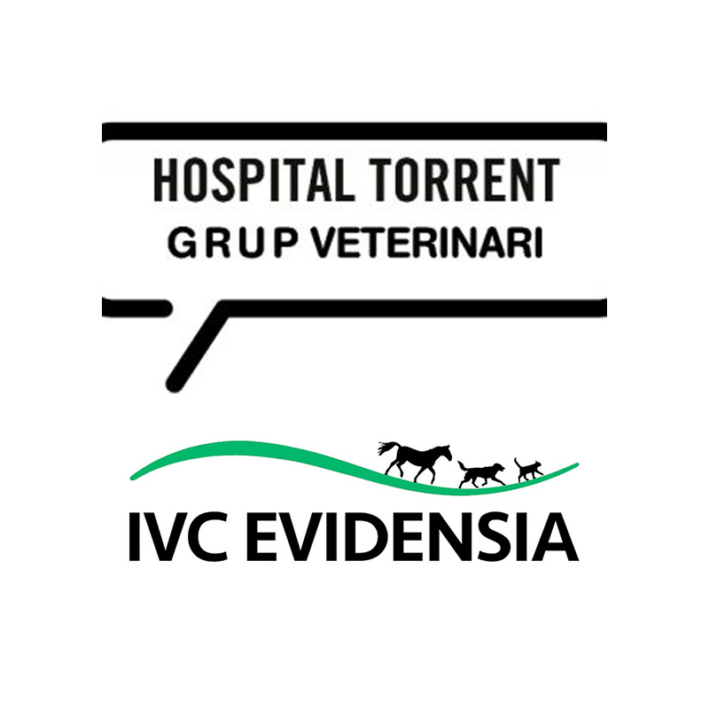 Hospital Veterinari Torrent IVC Evidensia - Torrent - Curso Auxiliar Veterinaria - Vetformacion