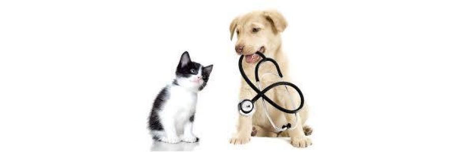 Auxiliar Clínico Veterinario