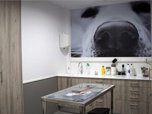 AniCura EMVET Referencia Veterinaria - Zaragoza - Curso Auxiliar Veterinaria - Vetformacion