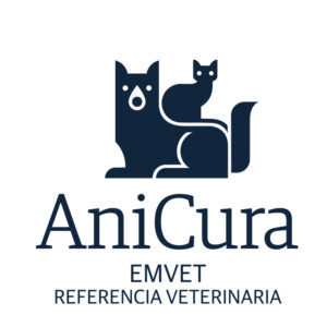 AniCura EMVET Referencia Veterinaria - Zaragoza - Curso Auxiliar Veterinaria - Vetformacion