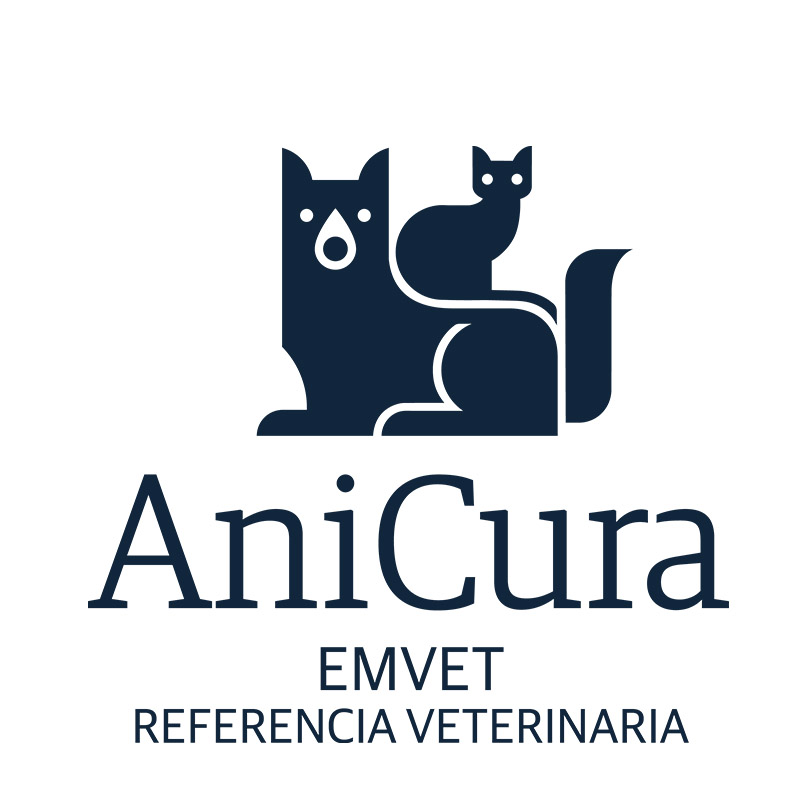 AniCura EMVET Referencia Veterinaria - Zaragoza - Curso Auxiliar Veterinaria - Vetformacion
