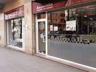 Animàlia Clínica Veterinària - Salt - Curso Auxiliar Veterinaria - Vetformacion