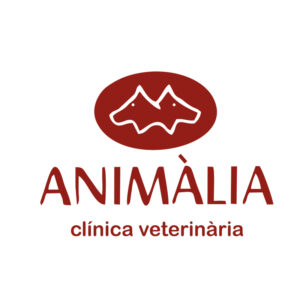 Veterinària - Salt - Curso Auxiliar Veterinaria - Vetformacion