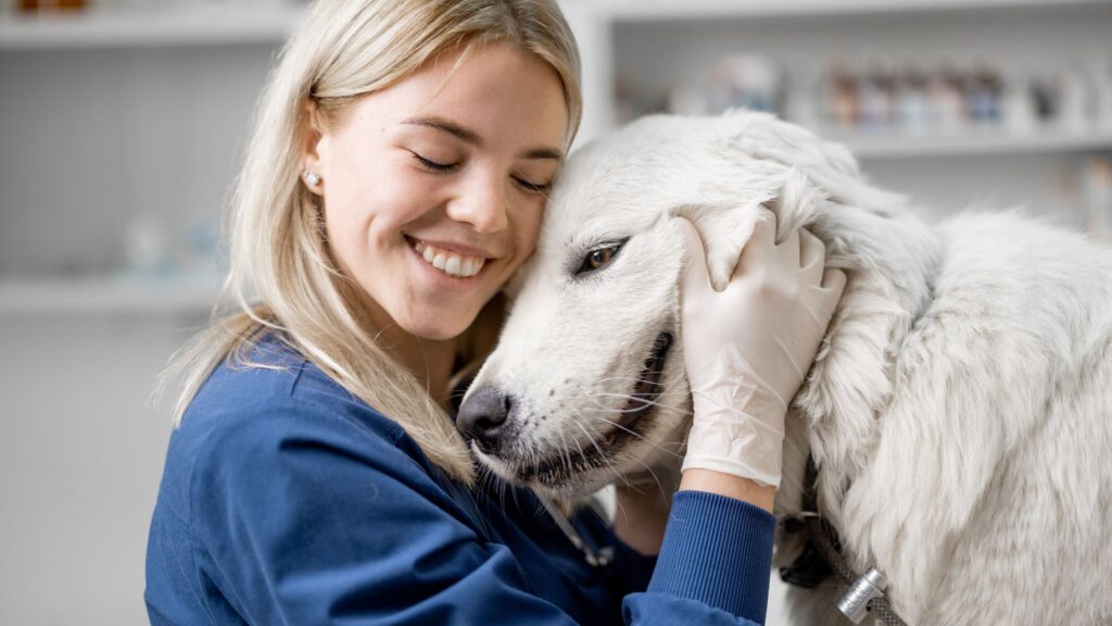 curso de auxiliar técnico veterinario