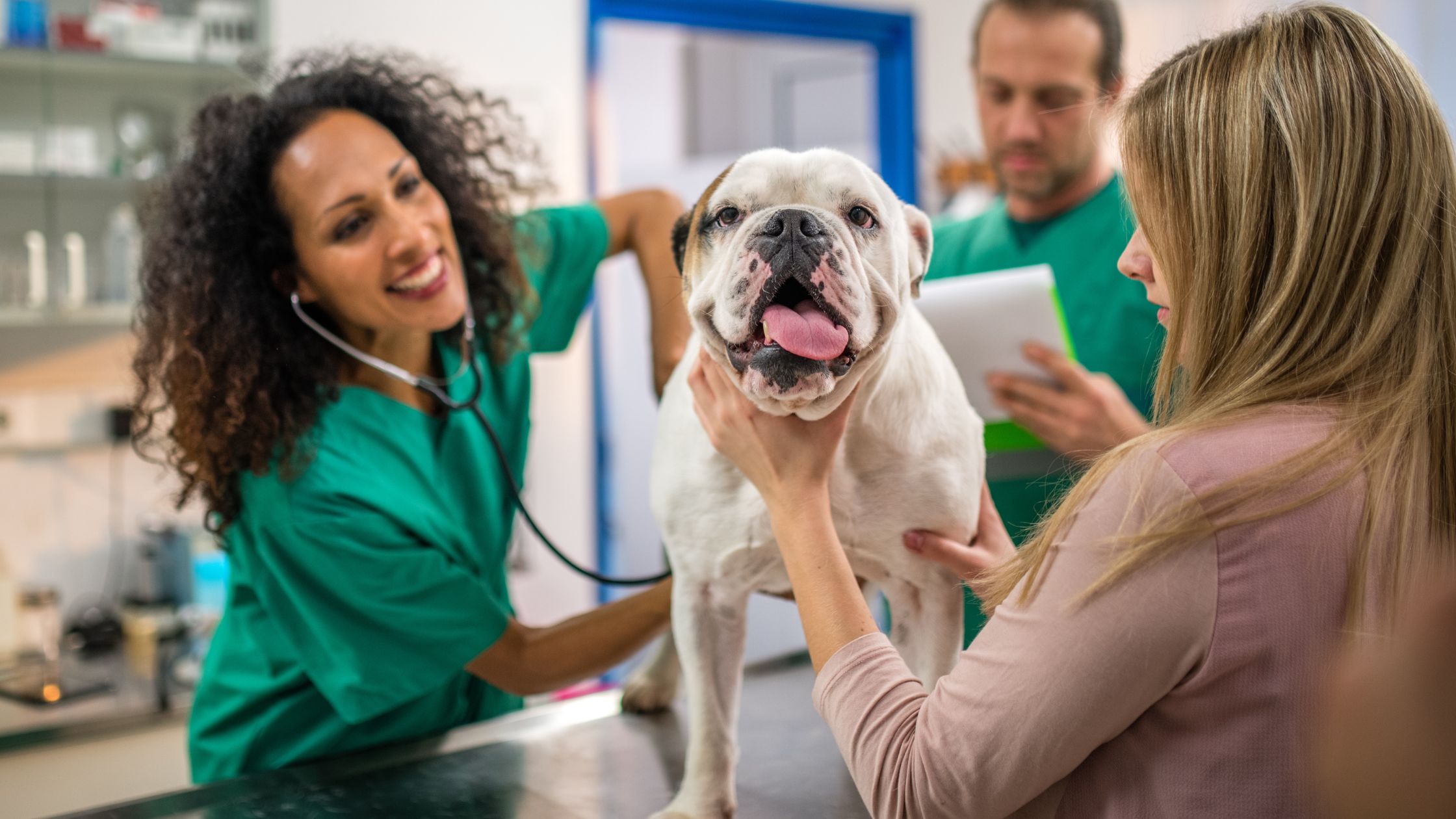 curso de auxiliar técnico veterinario