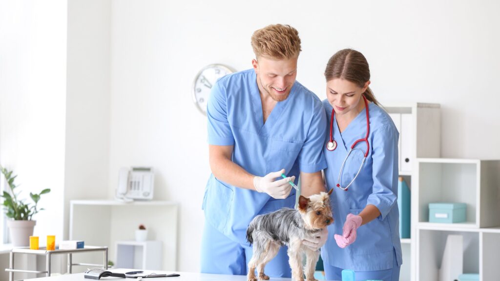 curso de auxiliar técnico veterinario