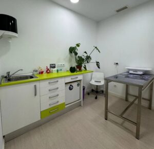 ivet chamberi madrid