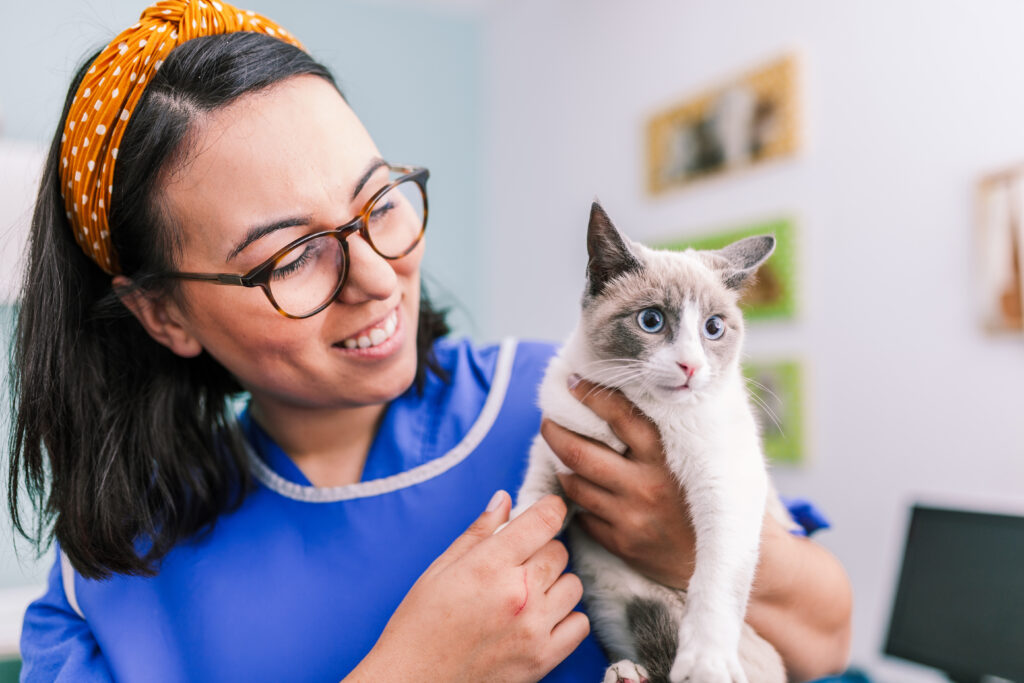 Vets,With,A,Cat,In,The,X-ray,Room