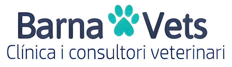 logo barnavets