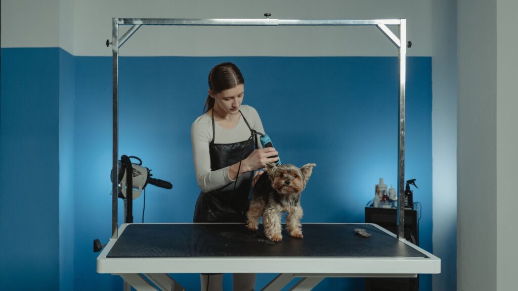 curso peluquería canina Barcelona