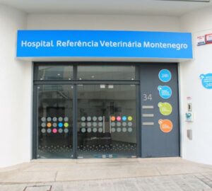 Montenegro