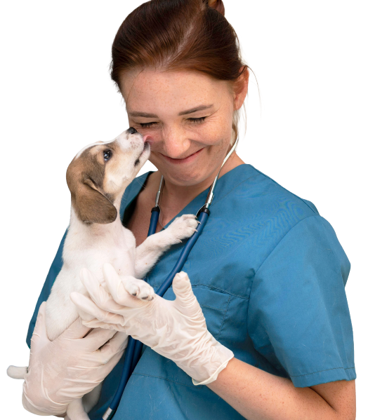trabajar con animales