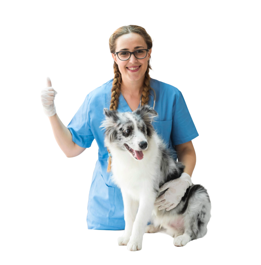 chica-perro- auxiliar veterinario