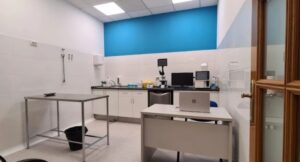 clinica veterinaria legazpi
