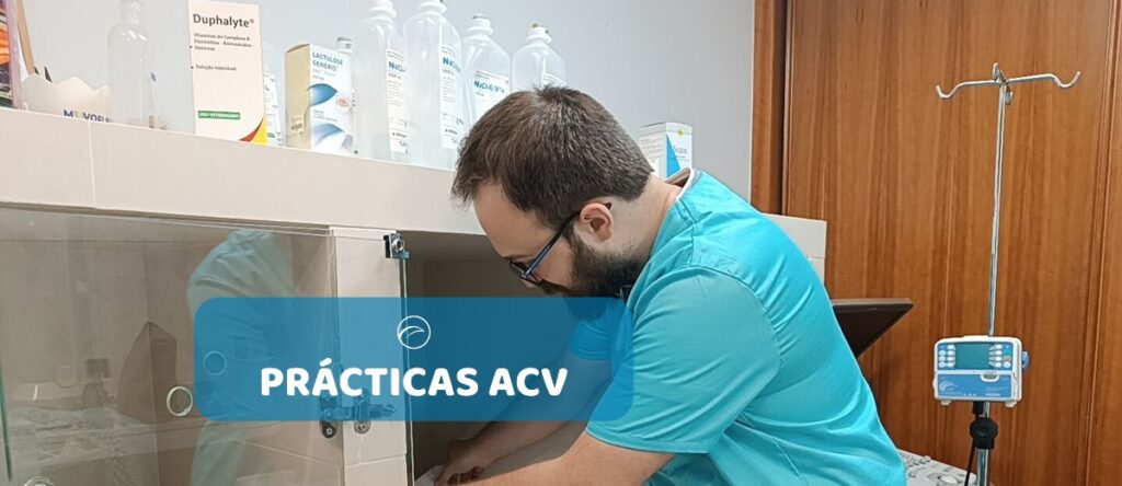 practicas auxiliar veterinario