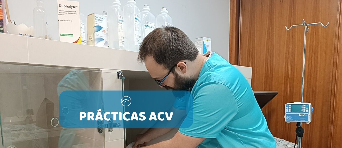 practicas auxiliar veterinario