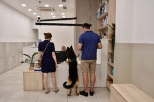 veterinari del clinic