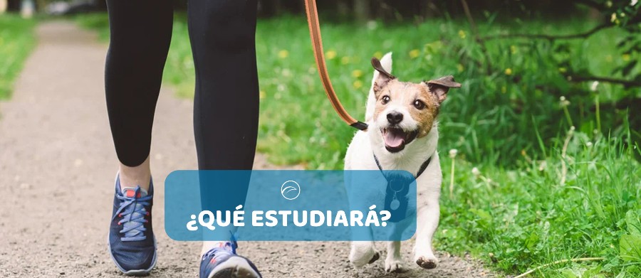 que estudiara mi hijo