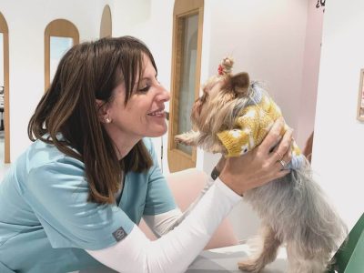 fionetta clinica veterinaria elche