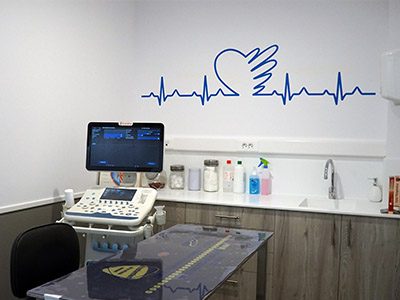 AniCura EMVET Referencia Veterinaria - Zaragoza - Curso Auxiliar Veterinaria - Vetformacion