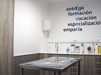 AniCura EMVET Referencia Veterinaria - Zaragoza - Curso Auxiliar Veterinaria - Vetformacion