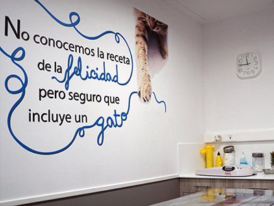 AniCura EMVET Referencia Veterinaria - Zaragoza - Curso Auxiliar Veterinaria - Vetformacion