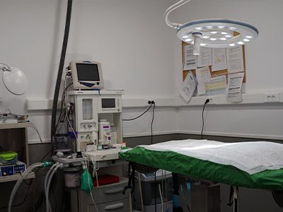 AniCura EMVET Referencia Veterinaria - Zaragoza - Curso Auxiliar Veterinaria - Vetformacion
