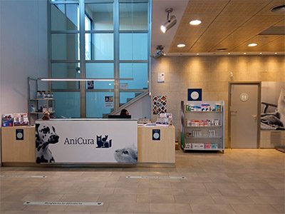 AniCura Mediterrani Hospital Veterinari - Reus - Curso Auxiliar Veterinaria - Vetformacion