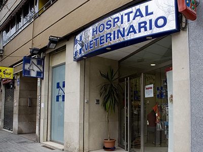 Hospital Veterinario Archiduque Carlos IVC Evidensia - Valencia - Curso Auxiliar Veterinaria - Vetformacion