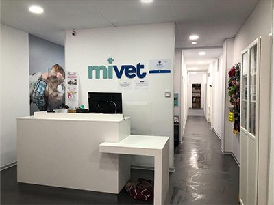 MiVet Clínica Veterinaria Cervantes - Oviedo - Curso Auxiliar Veterinaria - Vetformacion