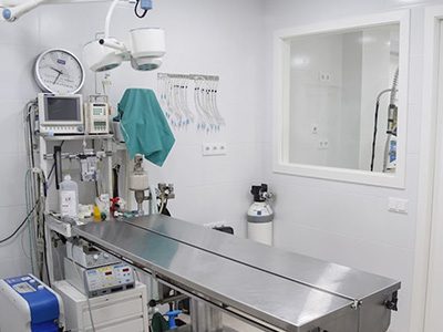 MiVet Hospital Veterinario Faucán - Cartagena - Curso Auxiliar Veterinaria - Vetformacion