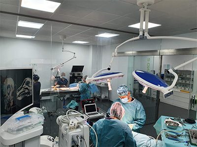 IVC Evidensia Hospital Fenix Veterinaria - Elche - Curso Auxiliar Veterinaria - Vetformacion