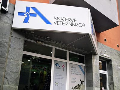 Hospital Veterinario Añaterve - IVC Evidensia - Santa Cruz de Tenerife - Curso Auxiliar Veterinaria - Vetformacion