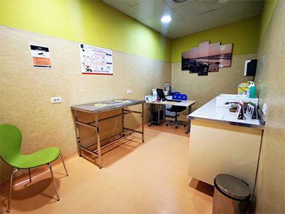 Hospital Veterinario Añaterve - IVC Evidensia - Santa Cruz de Tenerife - Curso Auxiliar Veterinaria - Vetformacion