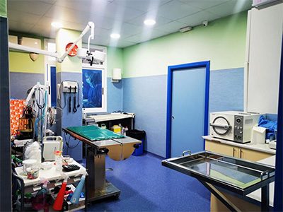 Hospital Veterinario Añaterve - IVC Evidensia - Santa Cruz de Tenerife - Curso Auxiliar Veterinaria - Vetformacion