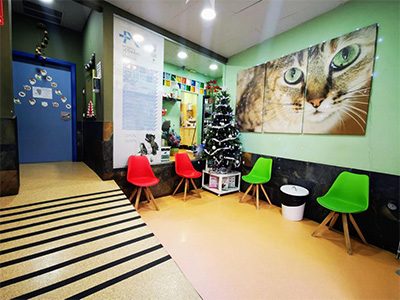 Hospital Veterinario Añaterve - IVC Evidensia - Santa Cruz de Tenerife - Curso Auxiliar Veterinaria - Vetformacion