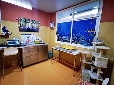 Hospital Veterinario Añaterve - IVC Evidensia - Santa Cruz de Tenerife - Curso Auxiliar Veterinaria - Vetformacion