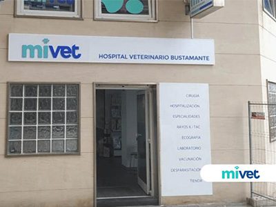 MiVet Hospital Veterinario Bustamante - Torrelavega - Curso Auxiliar Veterinaria - Vetformacion